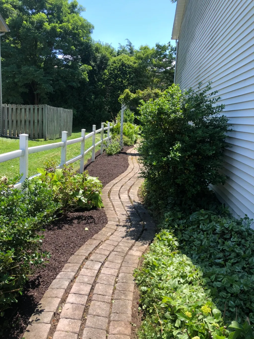 Winding brick paver walkway beside mulched beds, hydrangea and a white rail fence